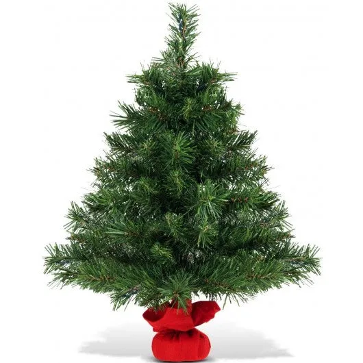 2 Feet Tabletop Fir Artifical Christmas Tree with LED Lights