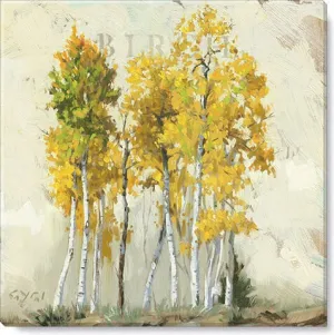 Birch Tree Giclee