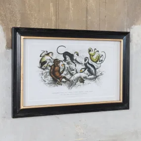 Brockby Monkey Wall Art 60cm