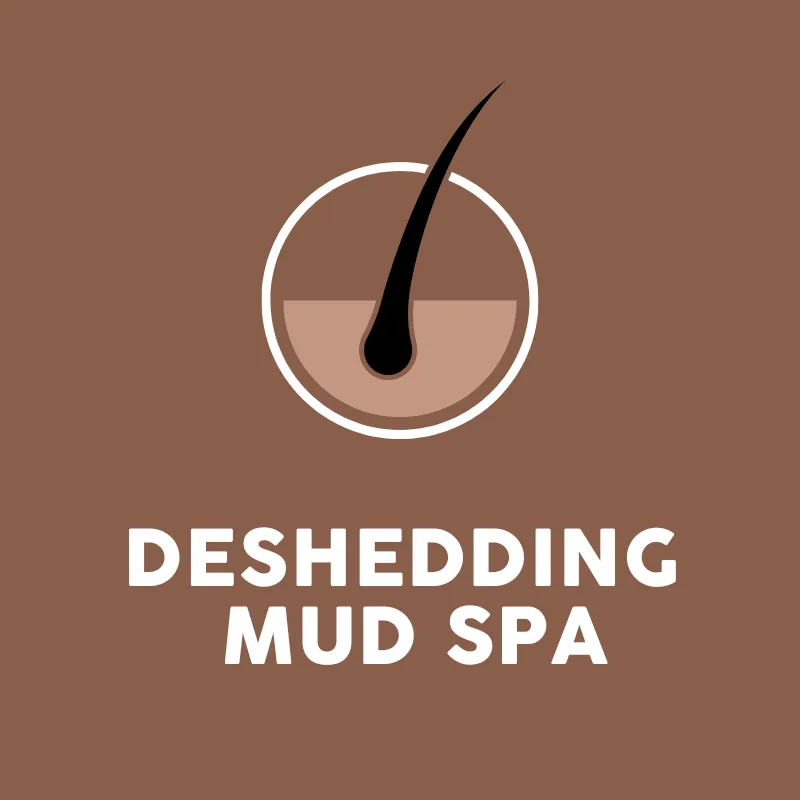 Deshedding Mud Treatment