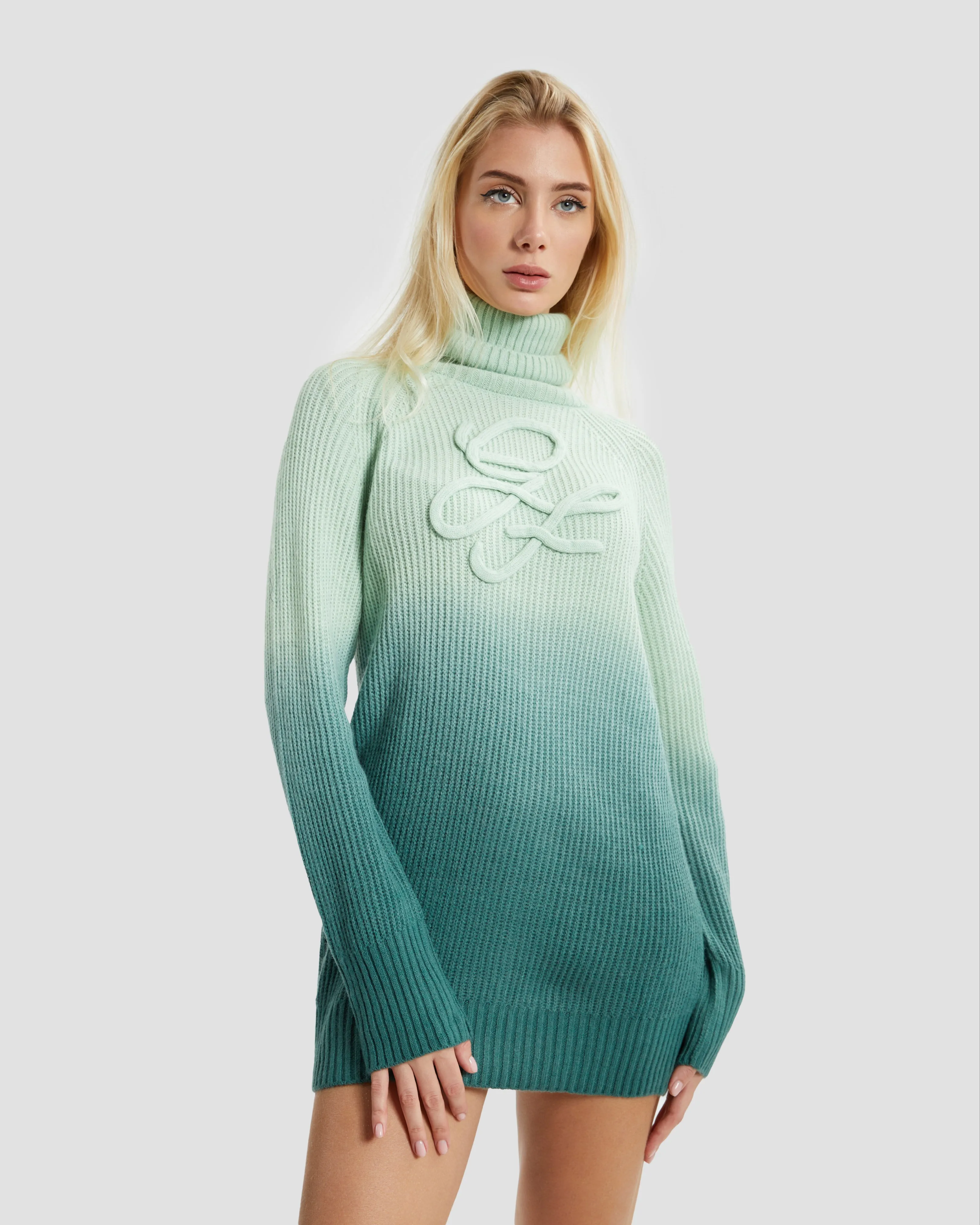 Ombre Logo Front Knitwear