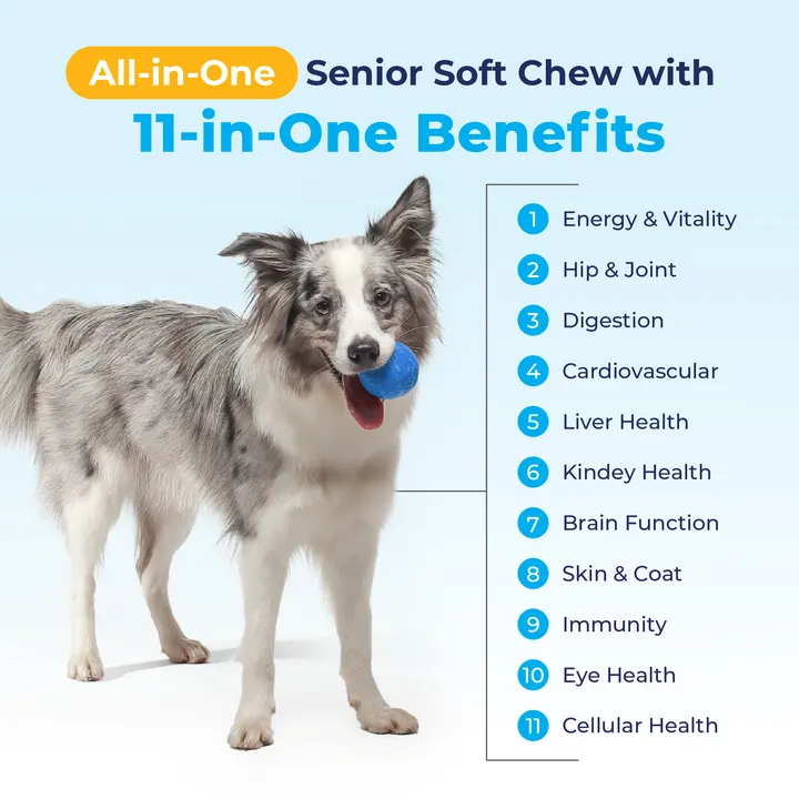 Seniorbliss™ All-in-One Supplement for Senior Dogs