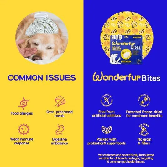 Wonderfur Bites Freeze Dried Kefir Dog Treats (Immune Booster)